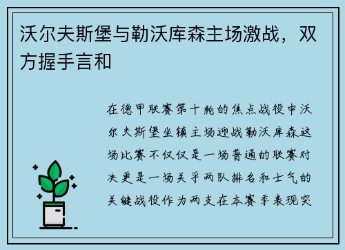 沃尔夫斯堡与勒沃库森主场激战，双方握手言和