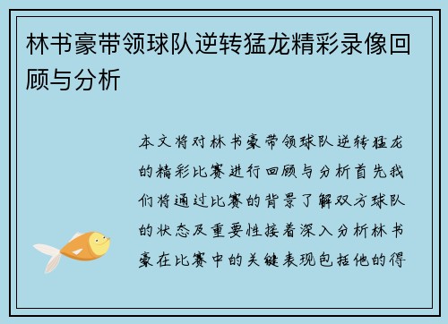 林书豪带领球队逆转猛龙精彩录像回顾与分析
