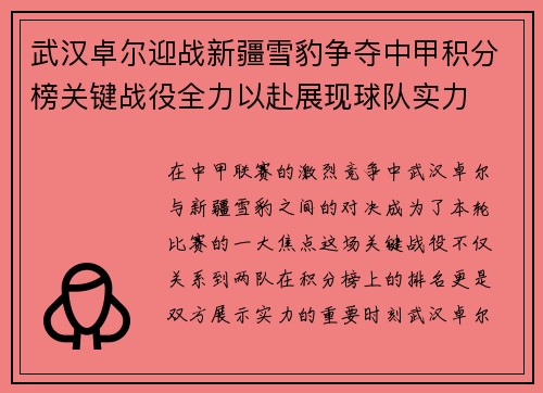 武汉卓尔迎战新疆雪豹争夺中甲积分榜关键战役全力以赴展现球队实力
