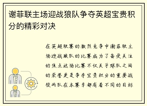 谢菲联主场迎战狼队争夺英超宝贵积分的精彩对决