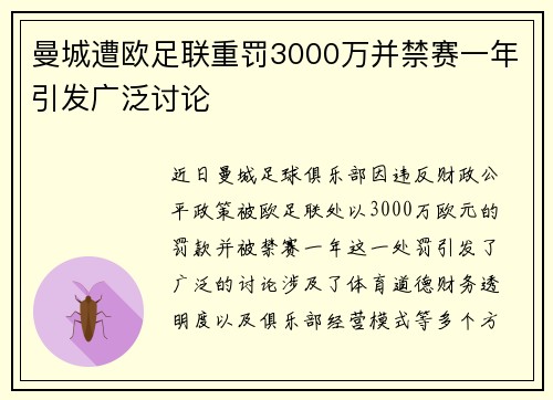 曼城遭欧足联重罚3000万并禁赛一年引发广泛讨论
